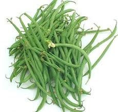 Heirloom Organic French Filet Bean Seeds