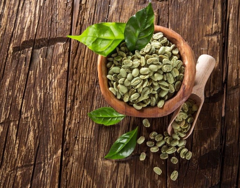 Organic Coffee Bean Tree Seeds Arabica perfect office or house plants! seedlings available check website for details