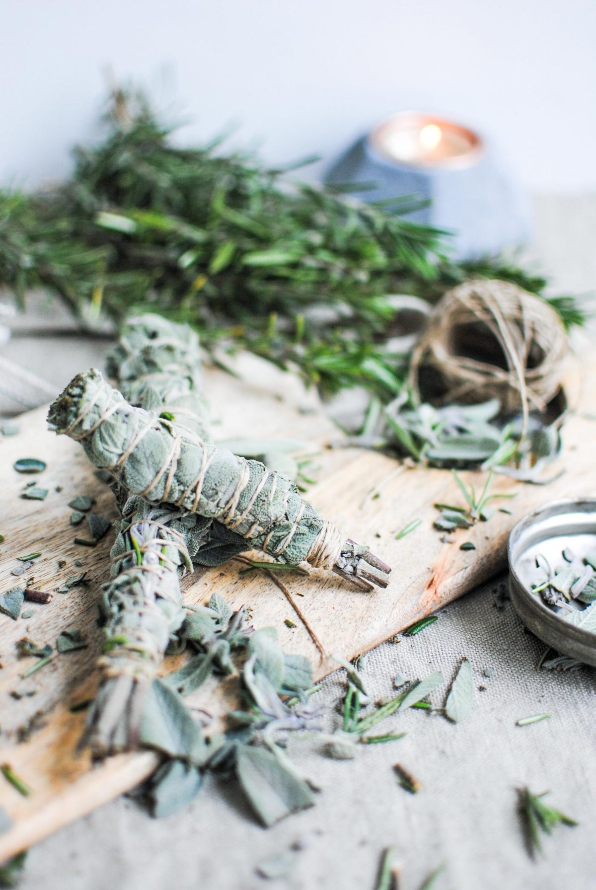 Heirloom Organic Sage Seeds Aka Salvia Officinalis Medicinal Herbs, Garden Sage, Smudging, Green Sage, Common Sage, Smudge sticks