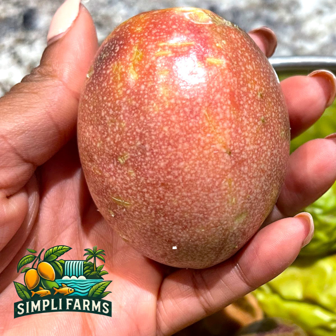 Romana Rośe Passion Fruit Seeds