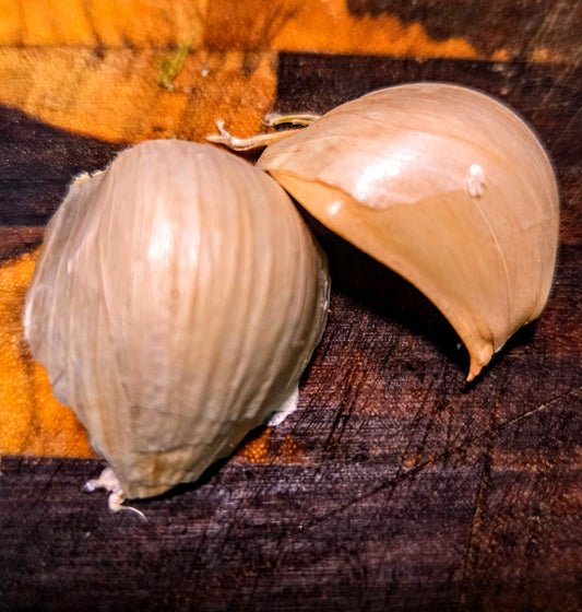 Organic Softneck Garlic