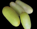 Cucumber-Puneri