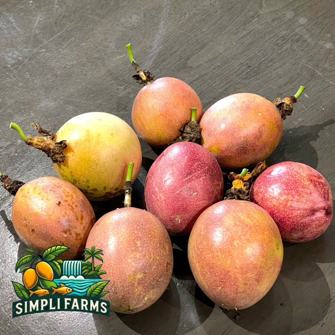 Romana Rośe Passion Fruit Seeds