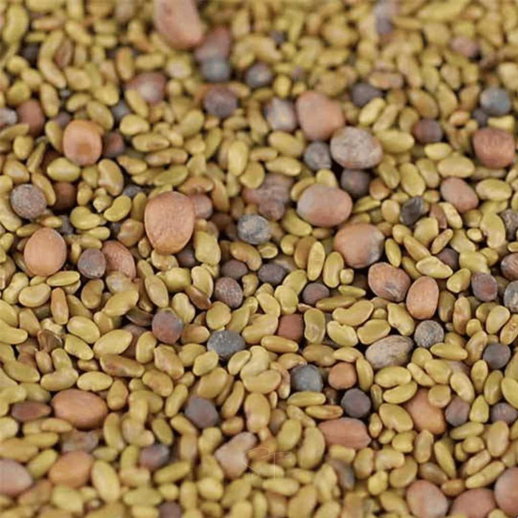 5 Part Salad Mix Sprout – 1,000 Seeds