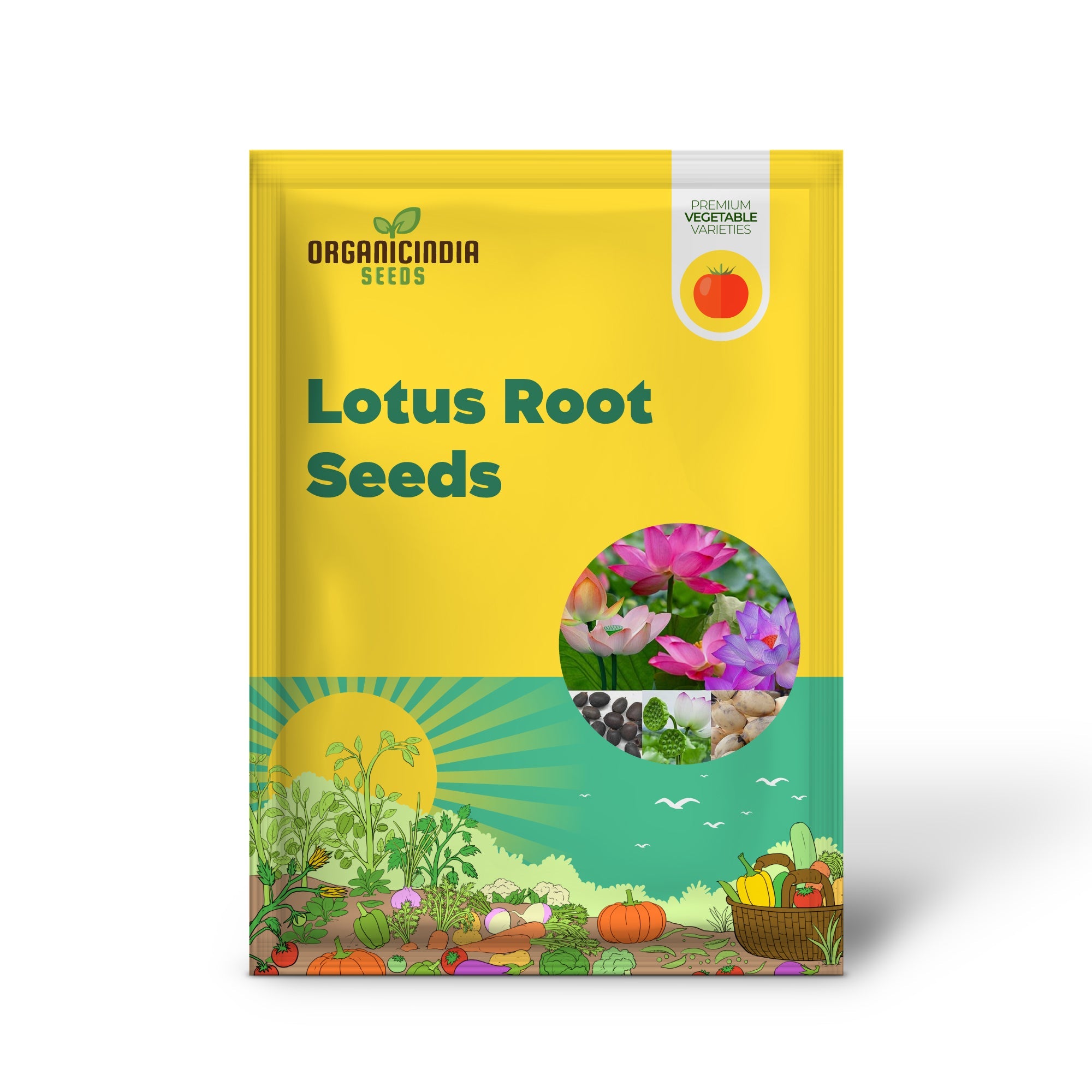 Lotus Root Seeds for Planting Edible Plant, Grow Beautiful Lotus Flowers And Roots for Home Garden, Organic Healthy Vegetable Seeds