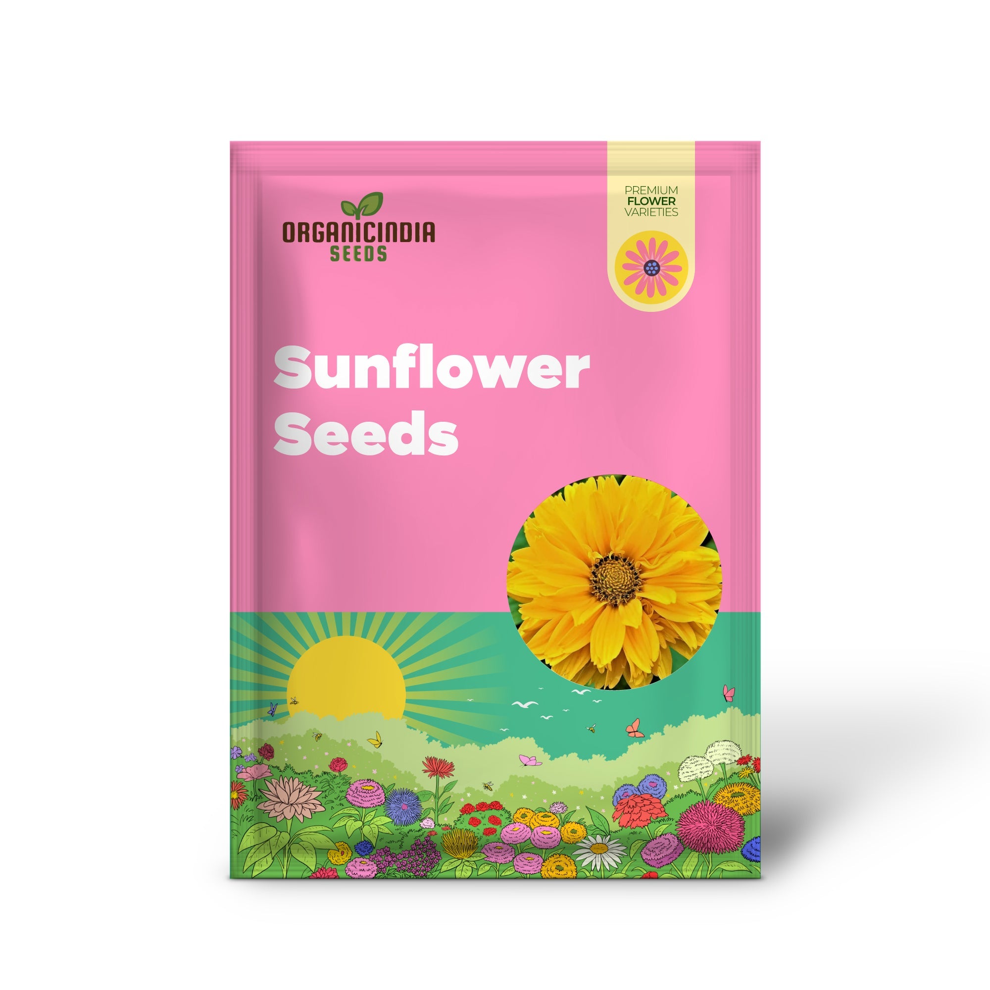 False Sunflower Seeds (Heliopsis Helianthoides) - Hardy Perennial, Heat & Drought Tolerant Blooms
