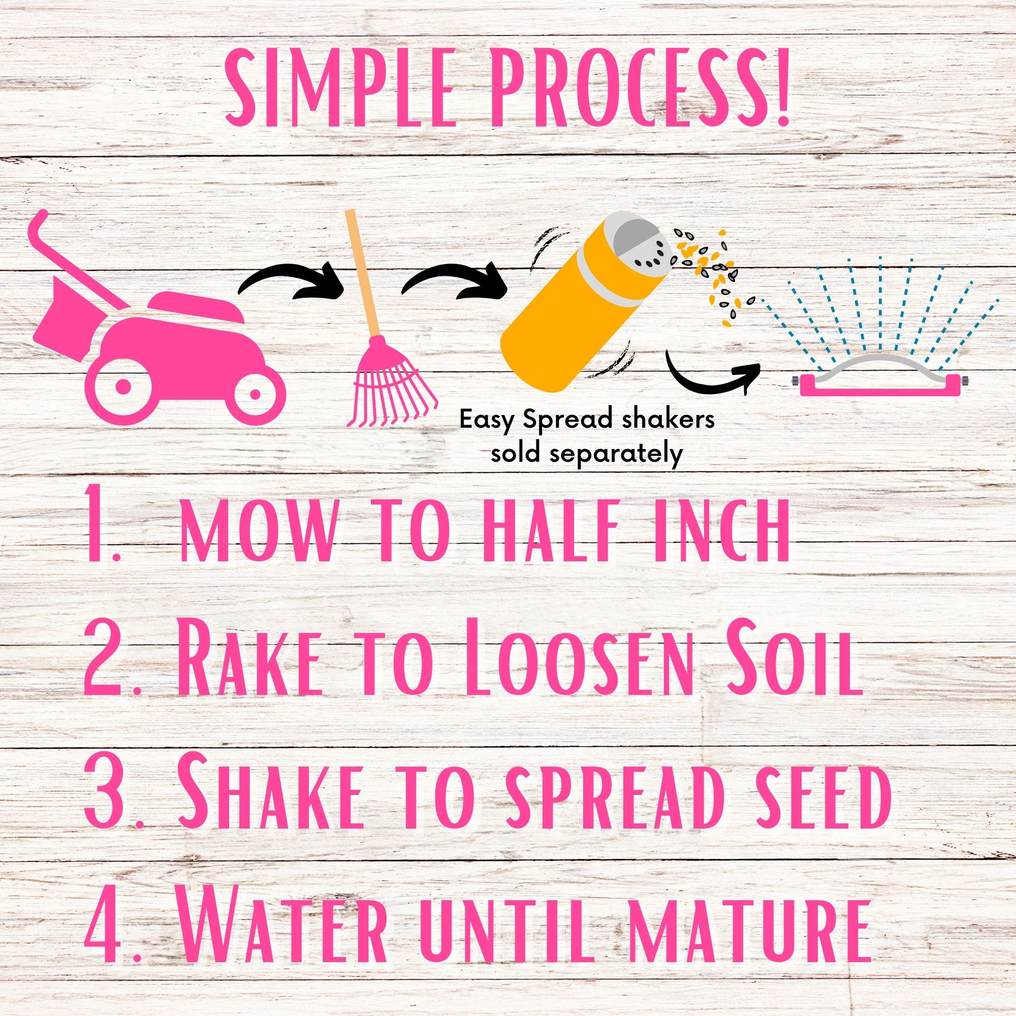 Sweet Alyssum Royal Carpet Seed Pouch