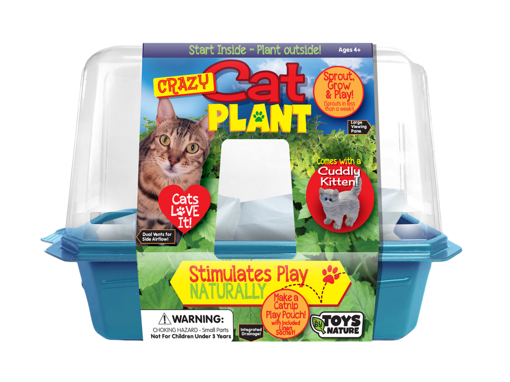Crazy Cat Plant Mini World Terrarium
