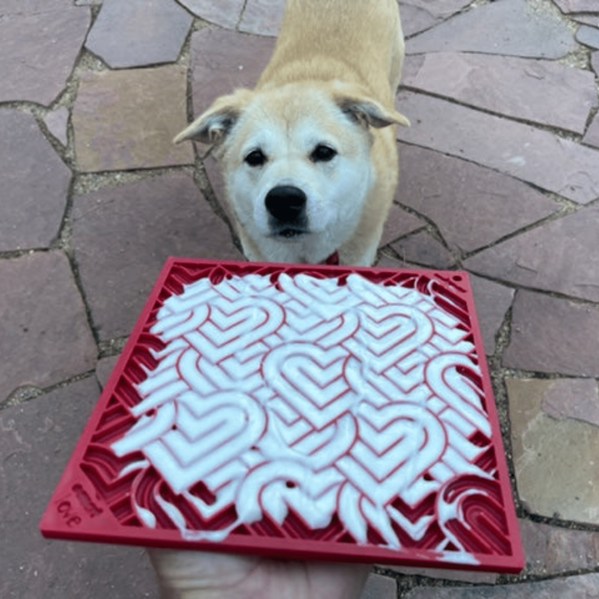 Dog Lick Mats