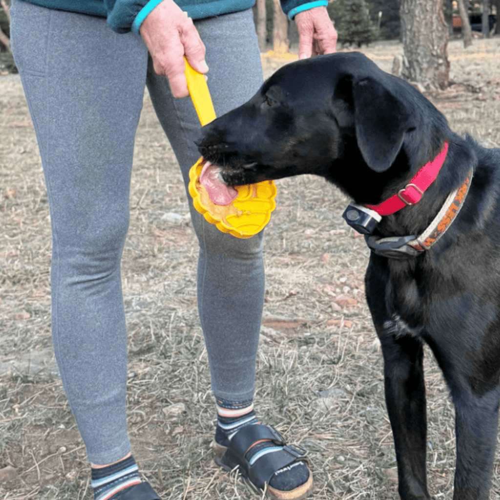 Lick Sticks | Interactive Dog Training Toy