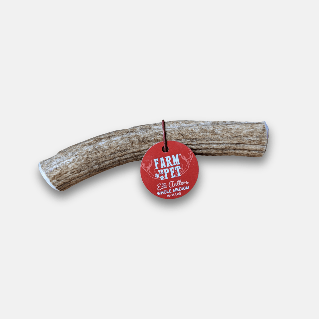 Elk Antler Dog Chews | All-Natural Whole and Split Elk Antler Chews for Dogs