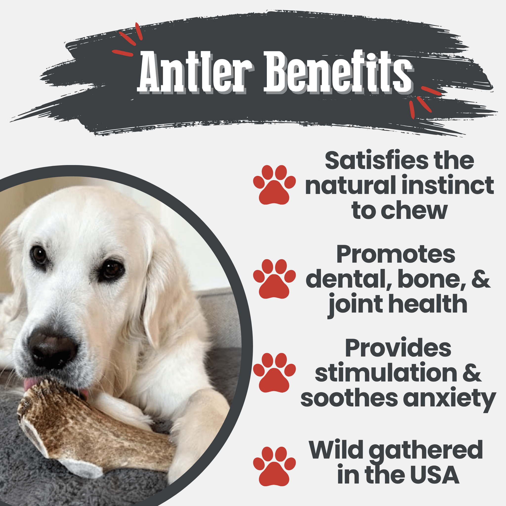 Elk Antler Dog Chews | All-Natural Whole and Split Elk Antler Chews for Dogs