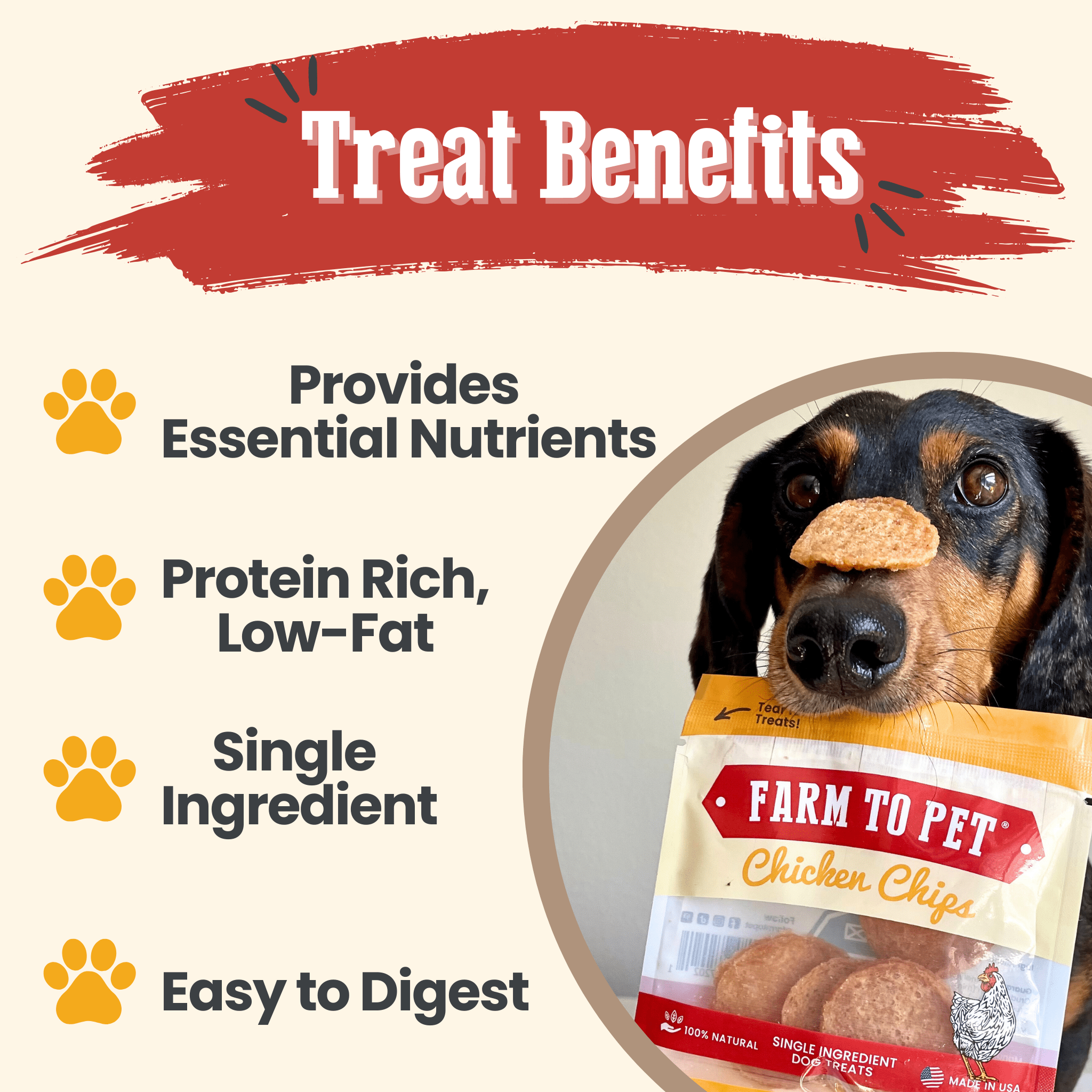 Chicken Chips Snack Pack Bundles | Dog Party Favors & Training Treats