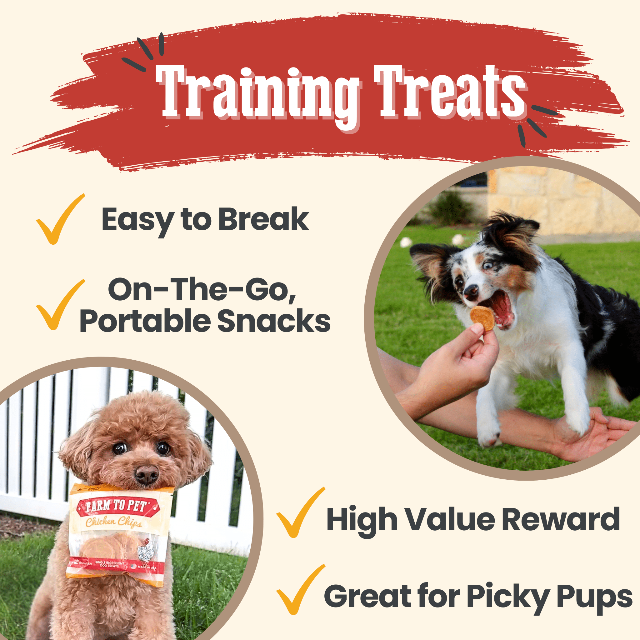 Chicken Chips Snack Pack Bundles | Dog Party Favors & Training Treats