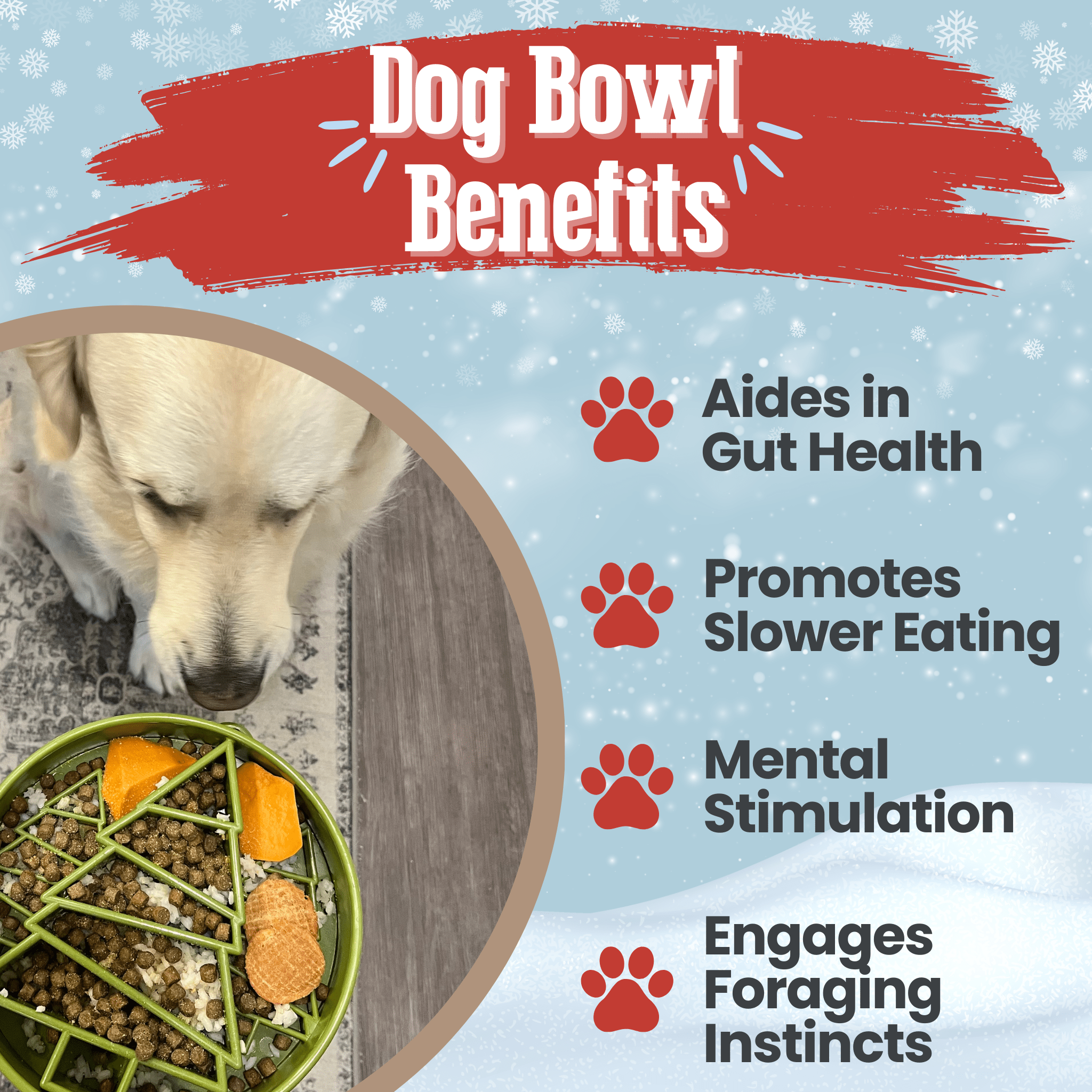 Slow Feeder Dog Bowls