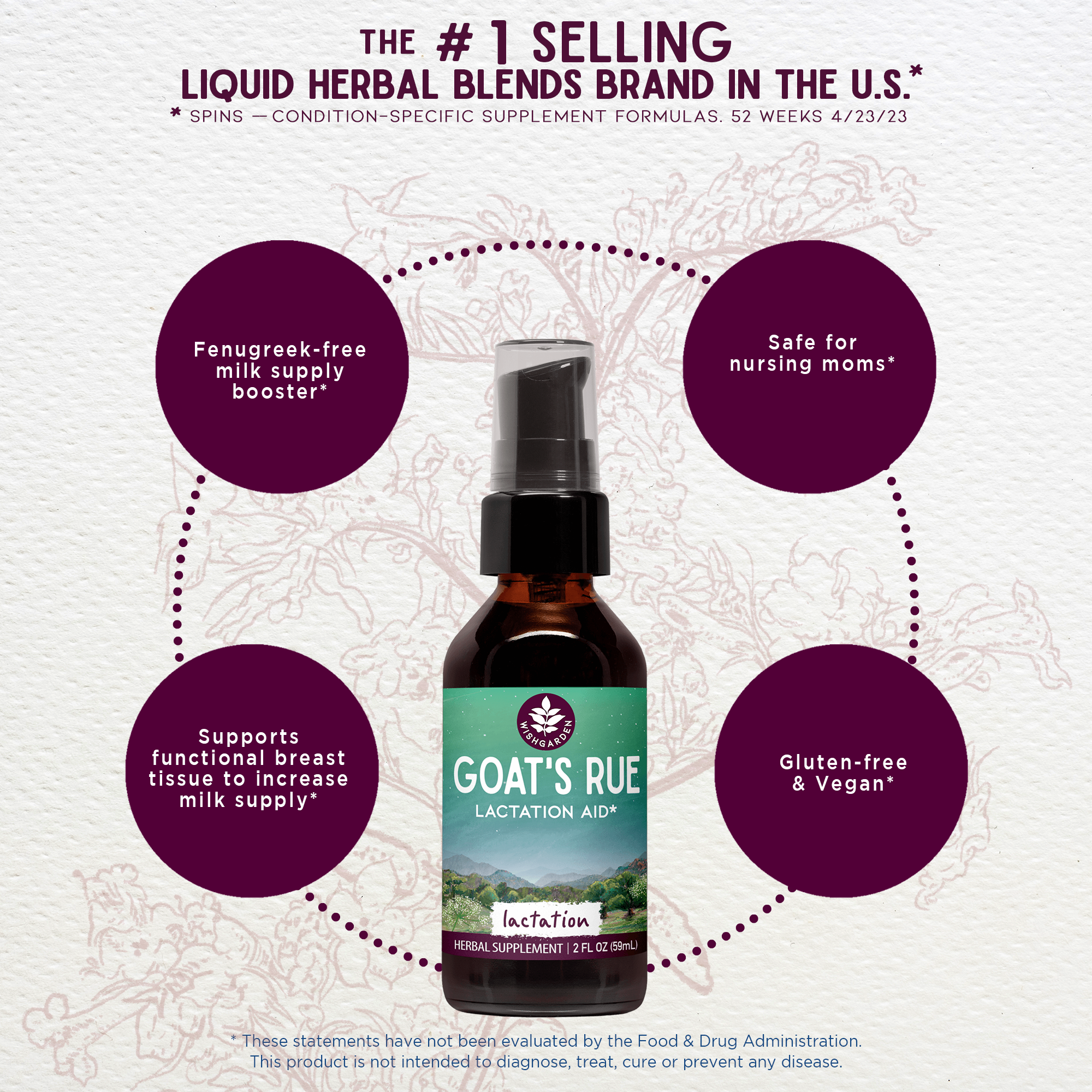 Goat's Rue Lactation Aid