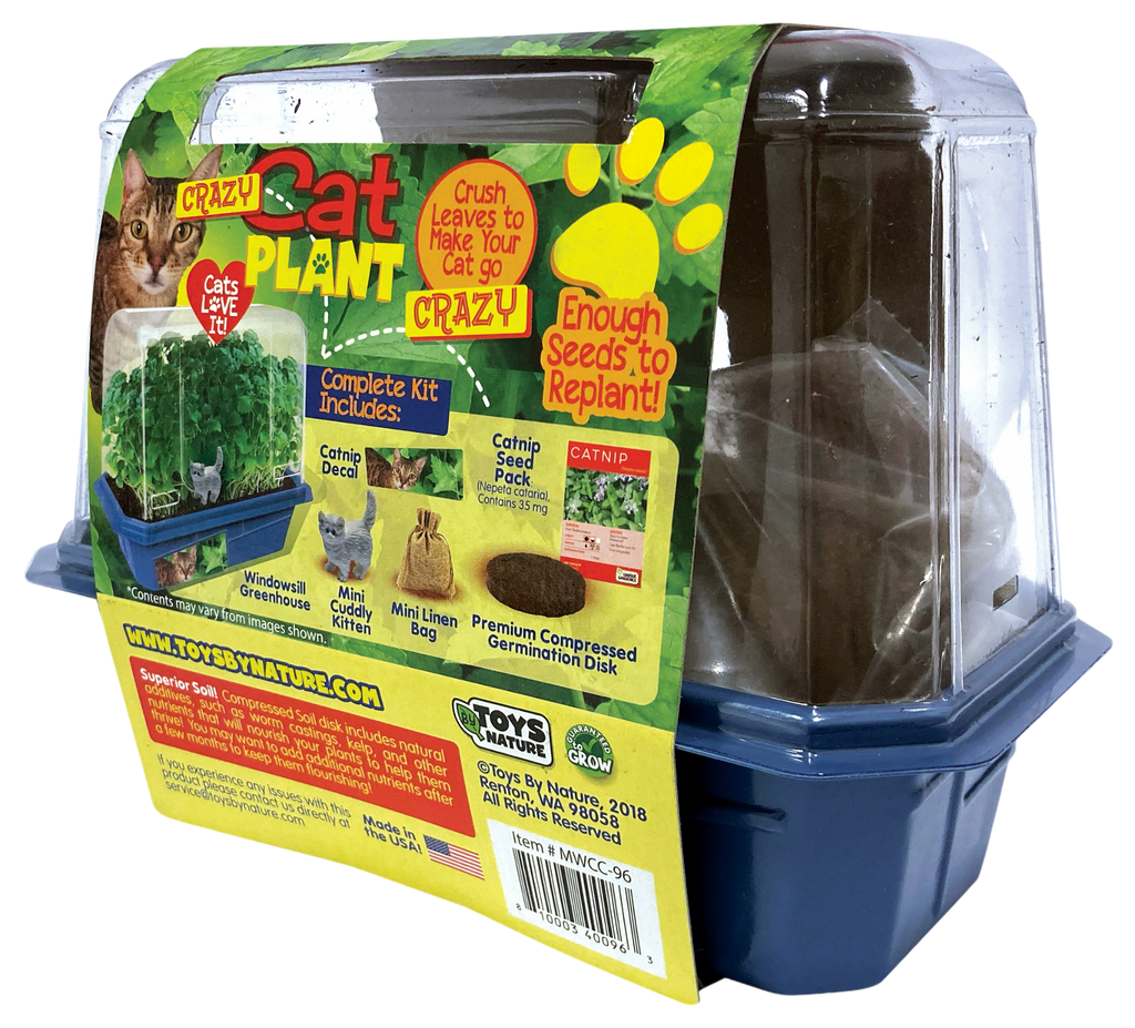 Crazy Cat Plant Mini World Terrarium