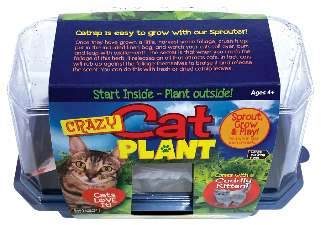 Crazy Cat Plant Mini World Terrarium