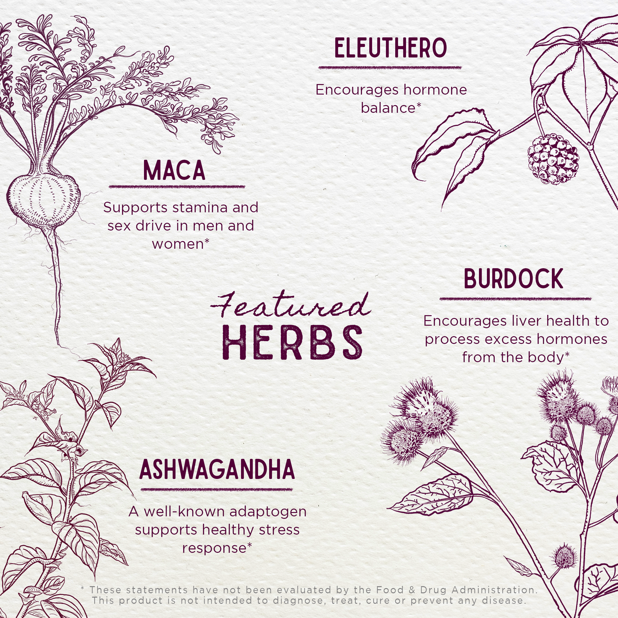 Male Mojo Libido Enhancer