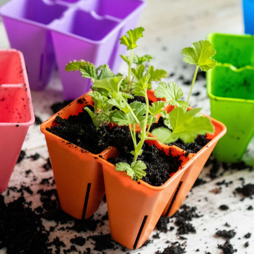 4 Cell Plug Tray Inserts