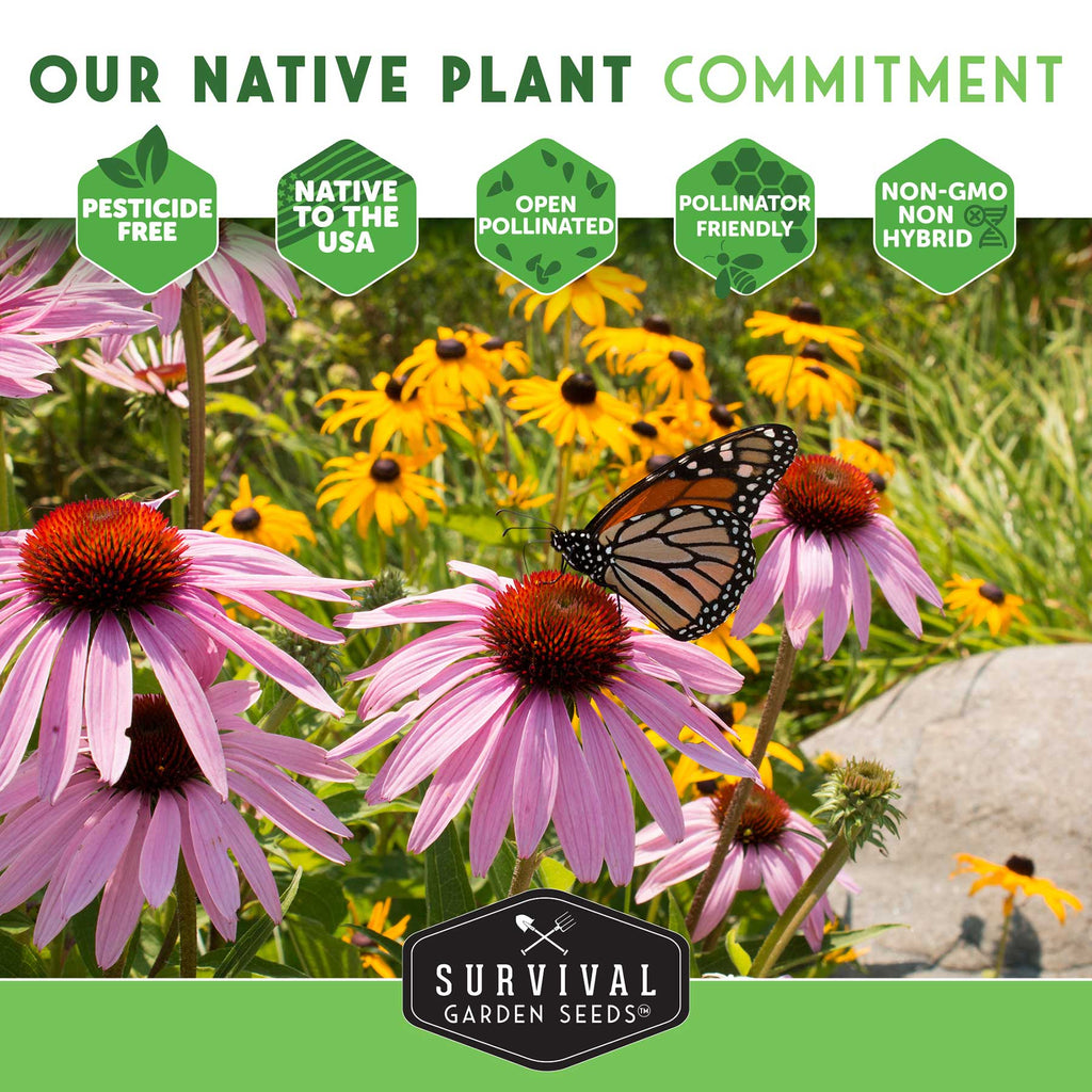 Native Habitat Seed Collection – 24 Native Wildflowers & Grasses for Pollinators, Meadows & Low-Maintenance Landscapes