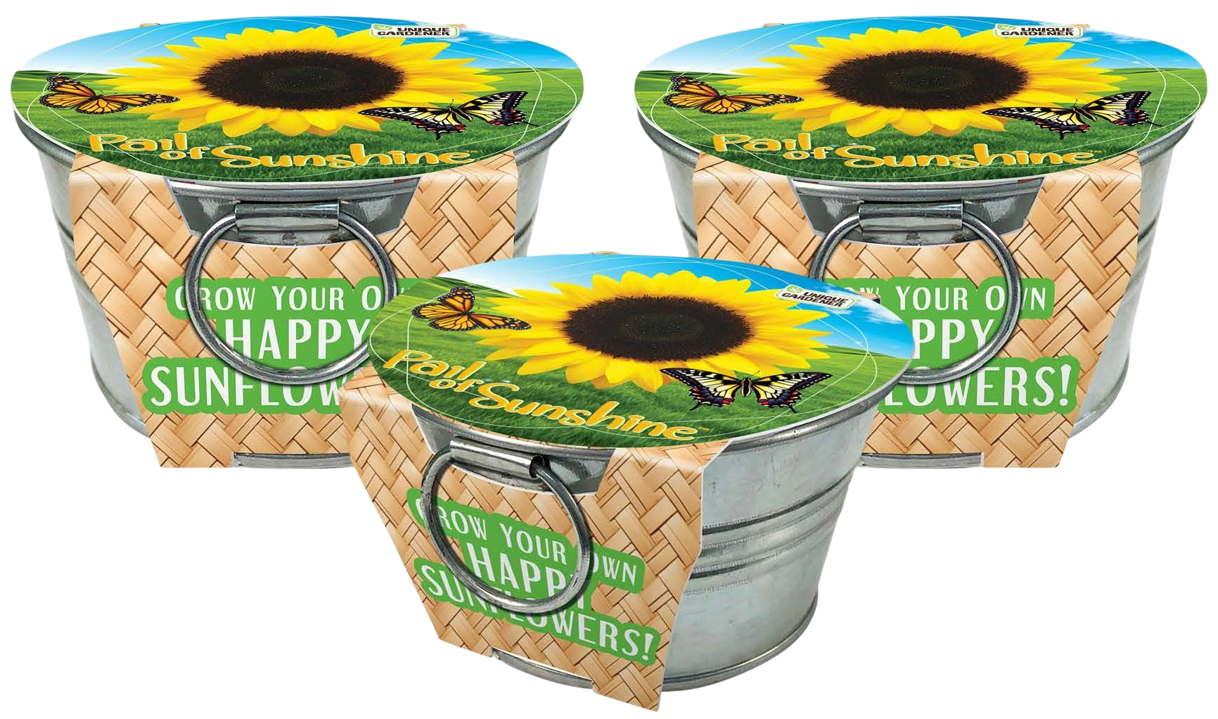 Pail of Sunshine - Grow Your Own Sunflowers Multipack of 3