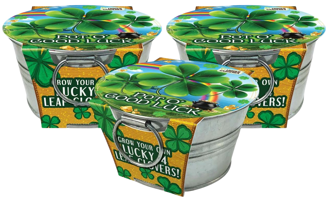 Pot O' Good Luck - Grow Your Own Shamrocks Multipack of 3