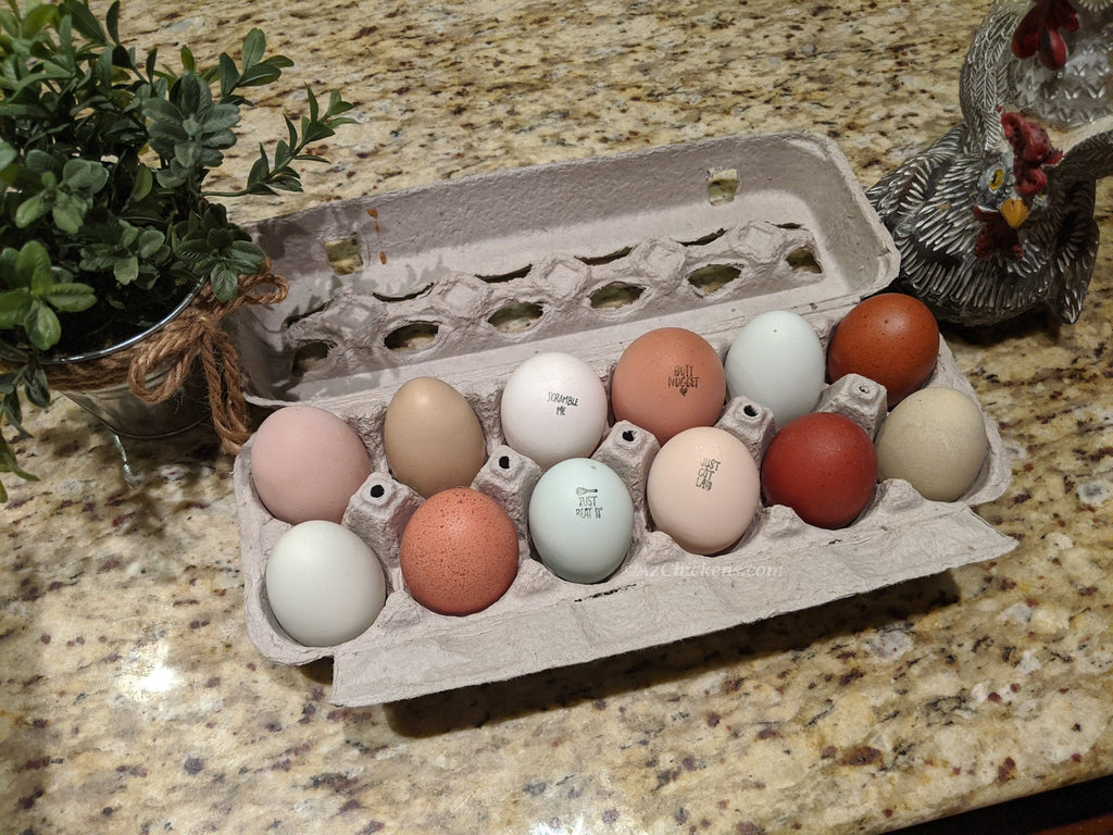 Rainbow Egg Assortment – Buy 10 + 5 Bonus Free (15 All-Female, Shipping Included)
