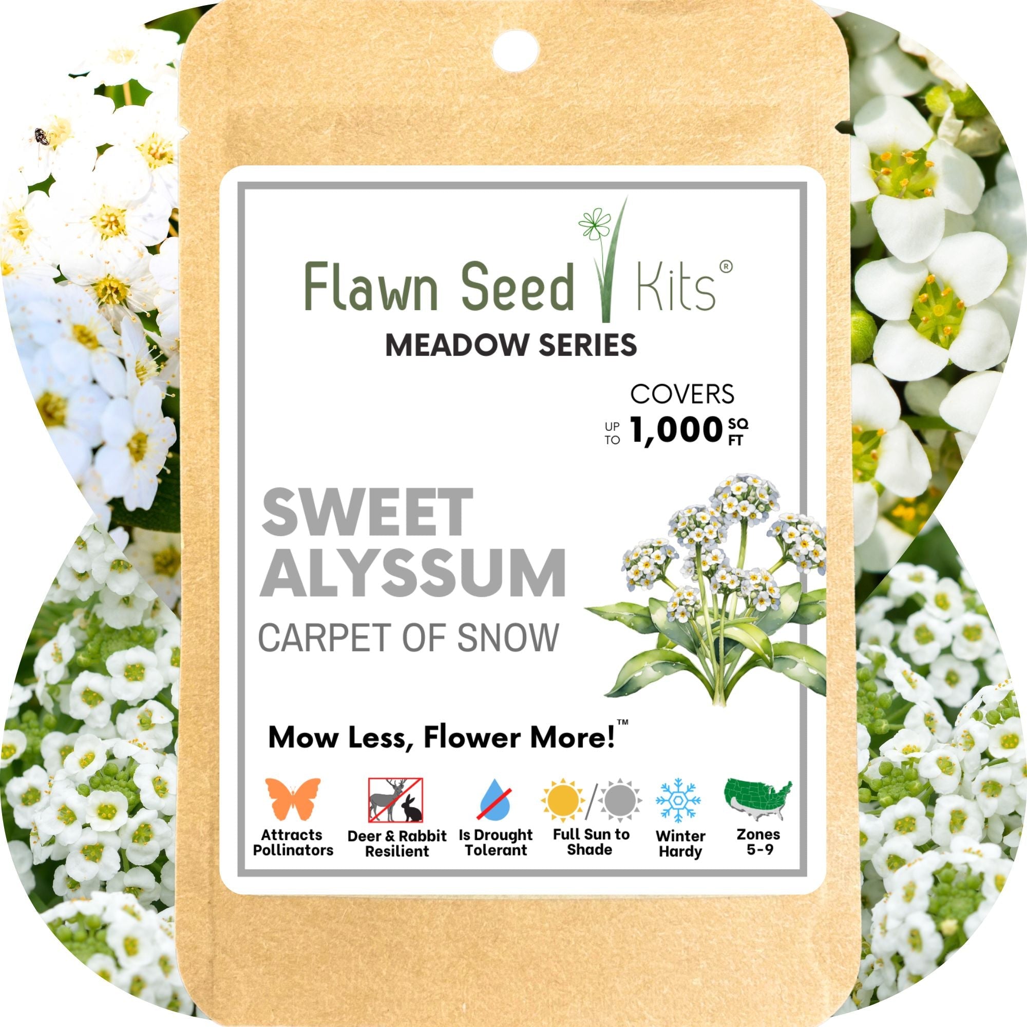 Sweet Alyssum Carpet Of Snow Seed Pouch