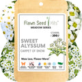 Sweet Alyssum Carpet Of Snow Seed Pouch
