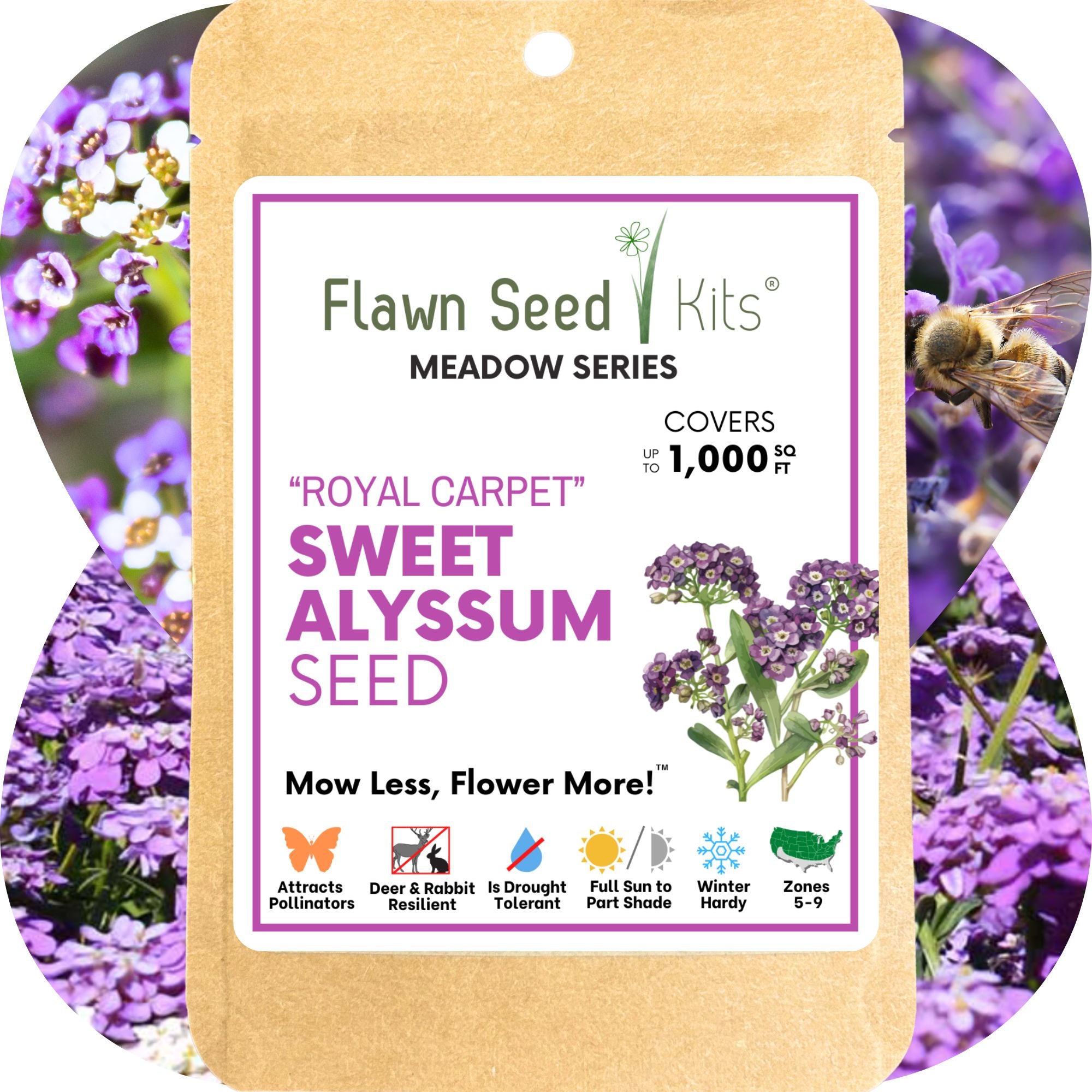 Sweet Alyssum Royal Carpet Seed Pouch