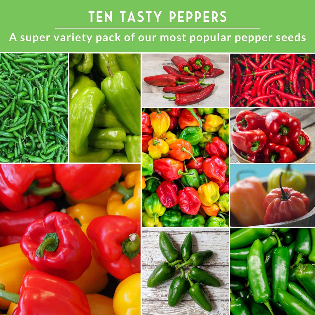 10 Variety Pepper Seed Collection – Non-GMO Heirloom Hot & Sweet Peppers for Garden, Container, or Greenhouse Growing