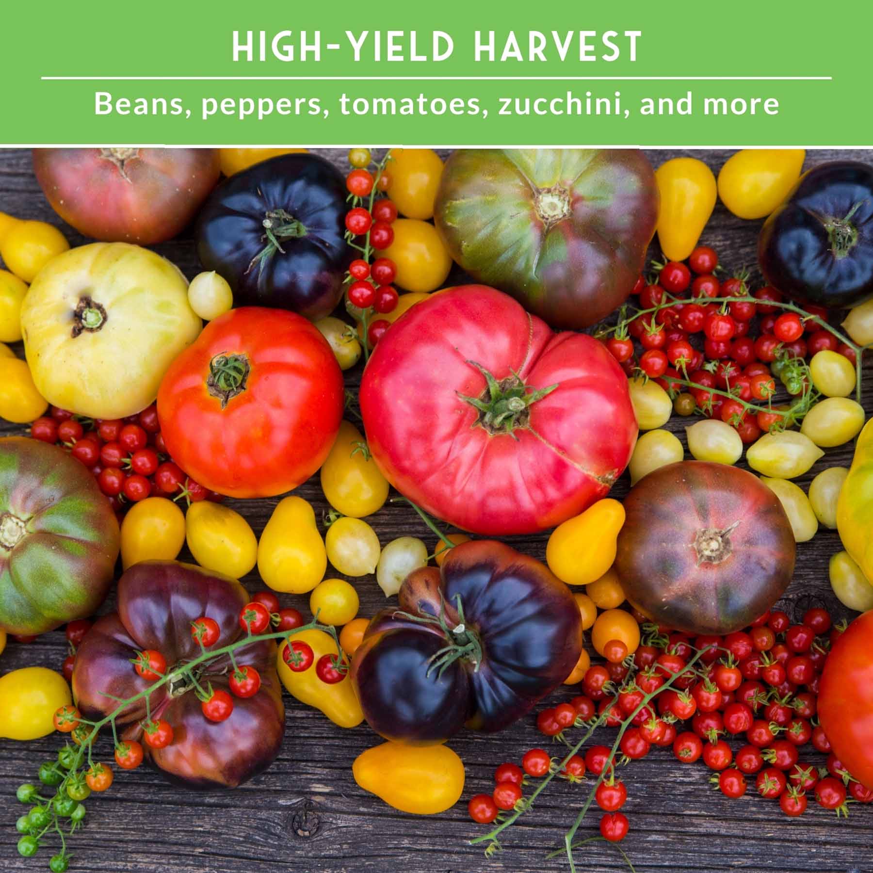 Summer Vegetable Seed Collection – Easy-Growing Tomatoes, Peppers, Beans, Cucumbers, Eggplant & Zucchini