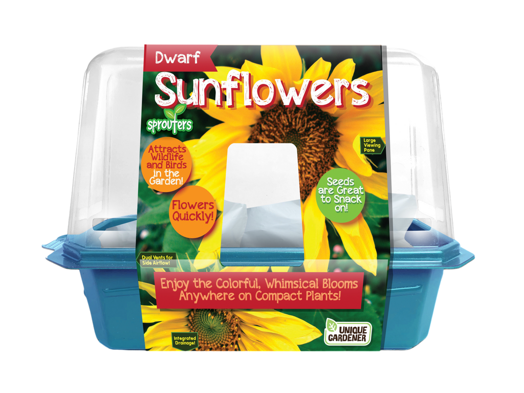 Dwarf Sunflowers Sprouter Terrarium