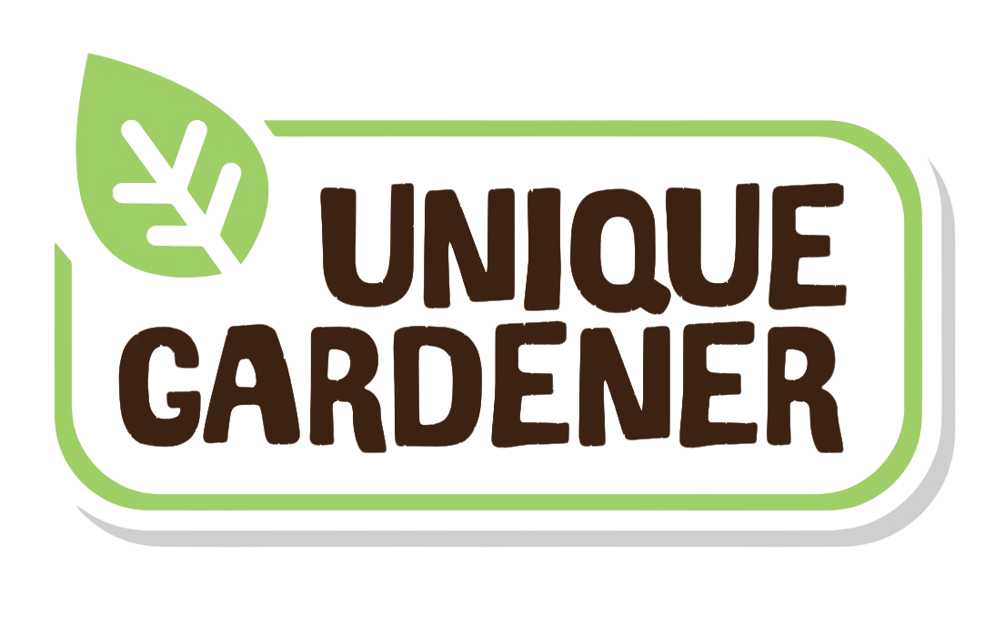 Dwarf Sunflowers Sprouter Terrarium