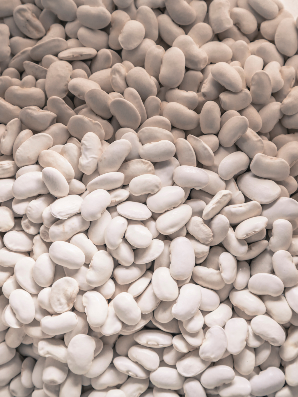 Heirloom Great North Beans