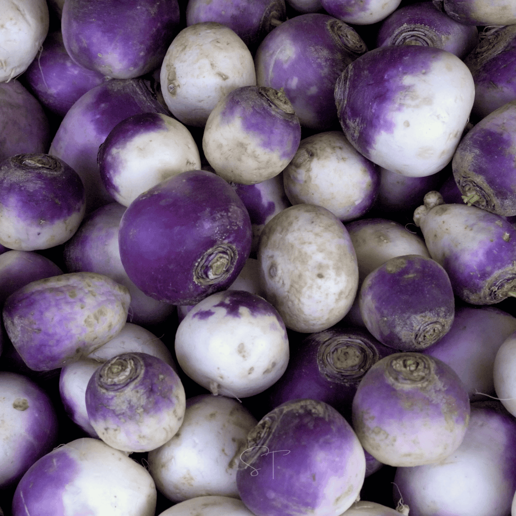 American Purple Top Rutabaga – 200 Seeds
