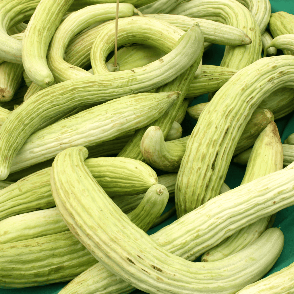 Armenian Yard-Long Cucumber – 30 Seeds