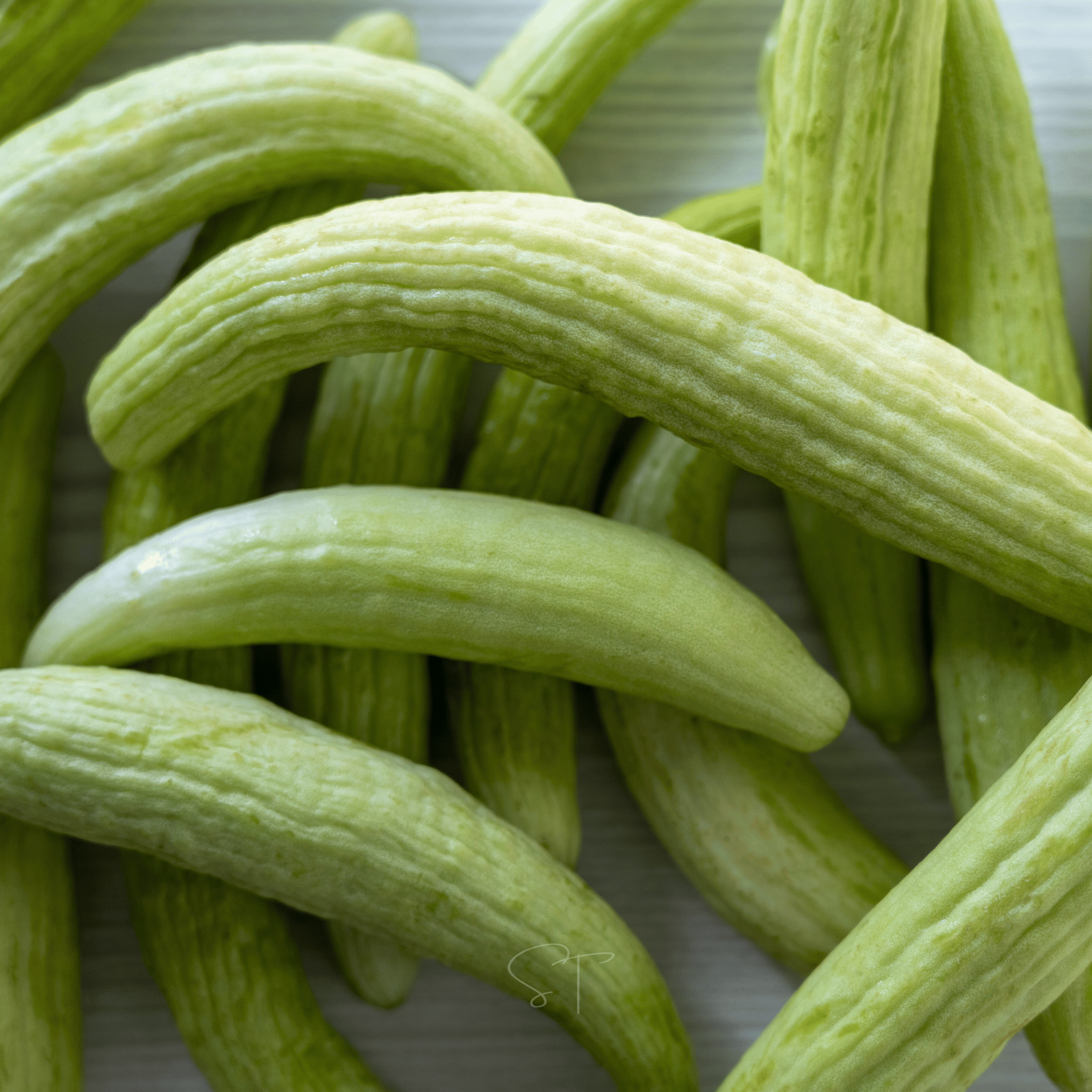 Armenian Yard-Long Cucumber – 30 Seeds