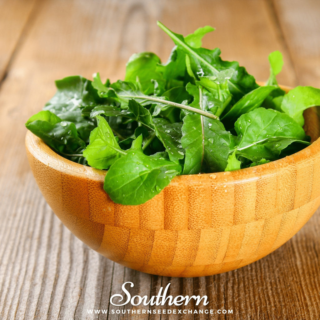 Roquette Arugula – 200 Seeds