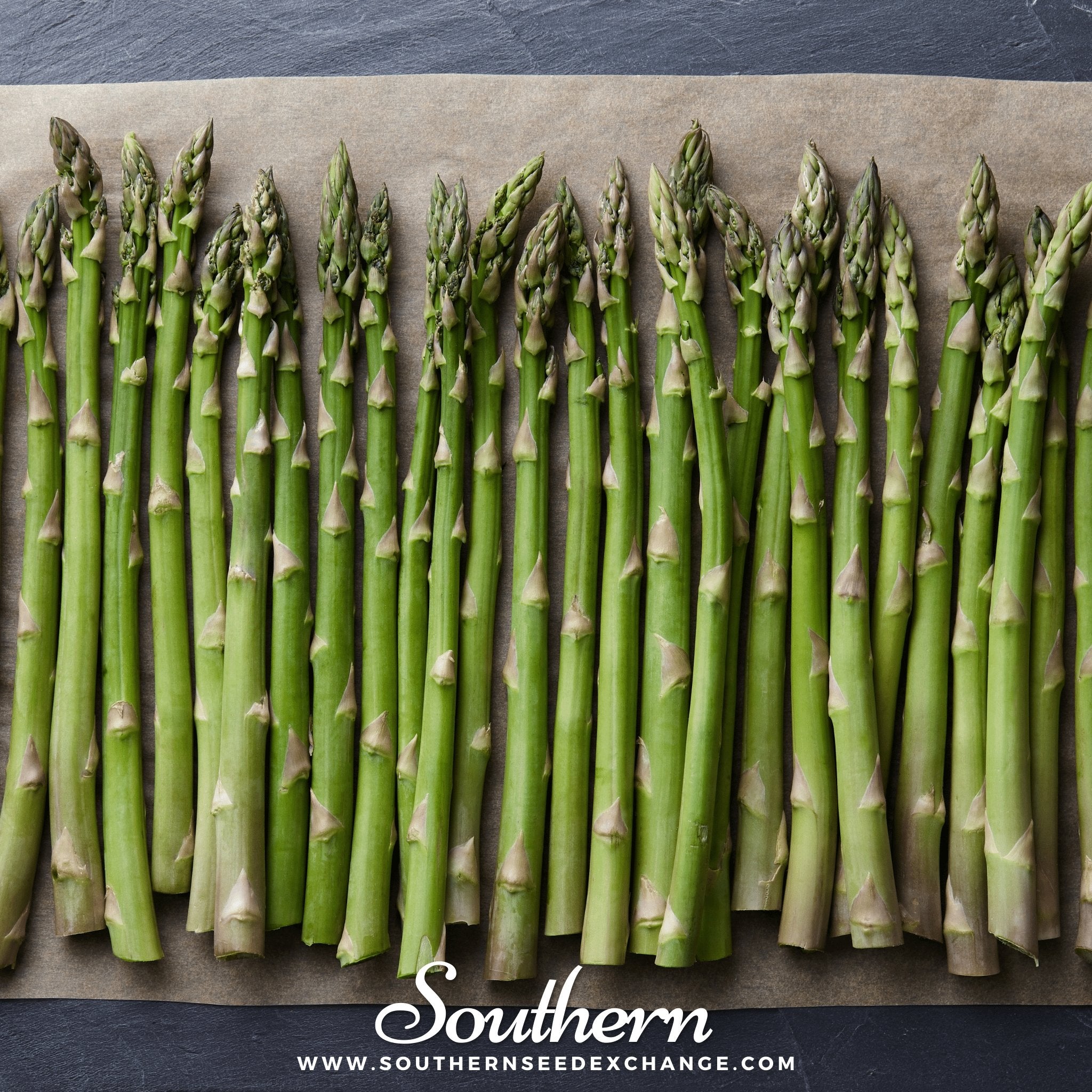 Mary Washington Asparagus – 50 Seeds