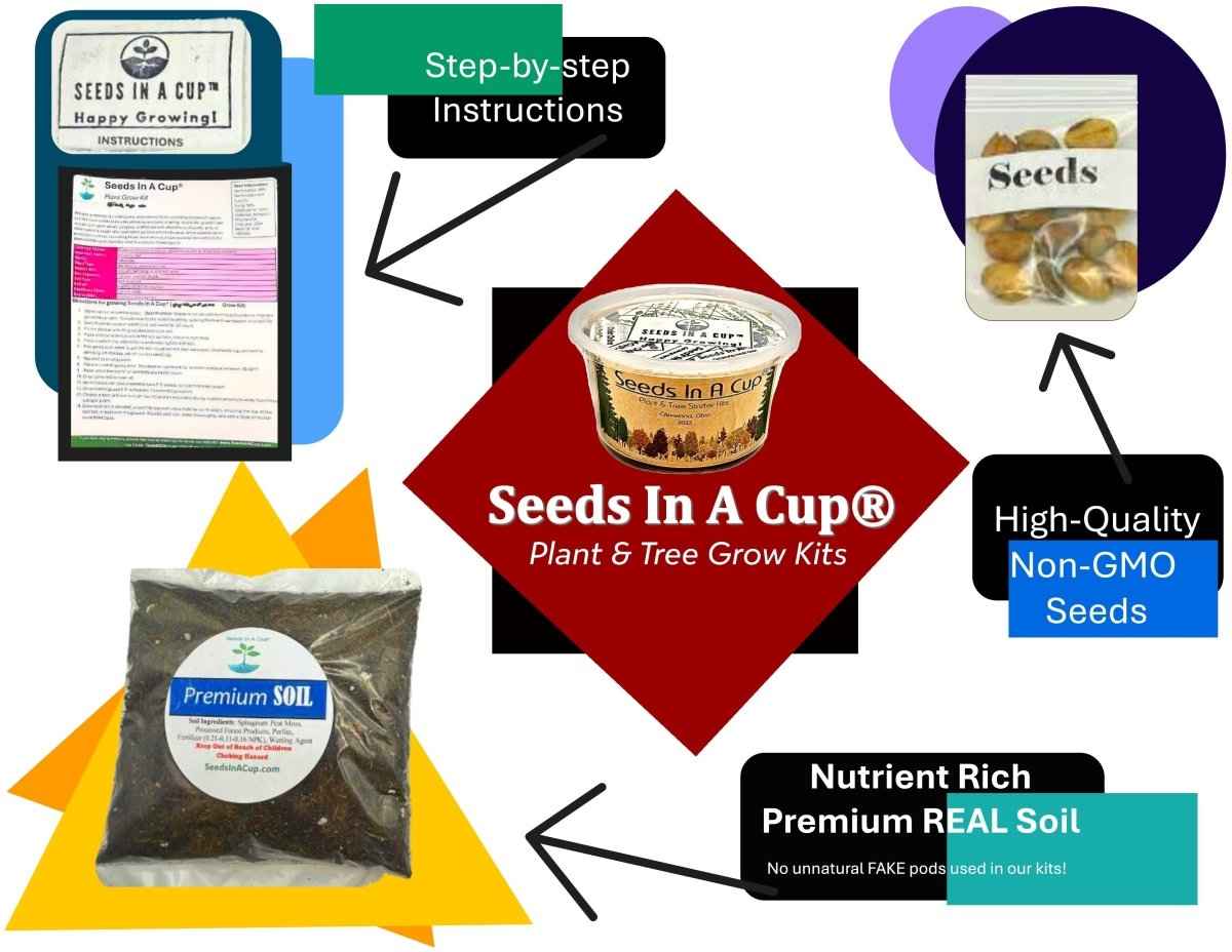 Apricot Tree Growing Kit - Complete Fruit Tree Seed Starter Kit for Home Gardeners