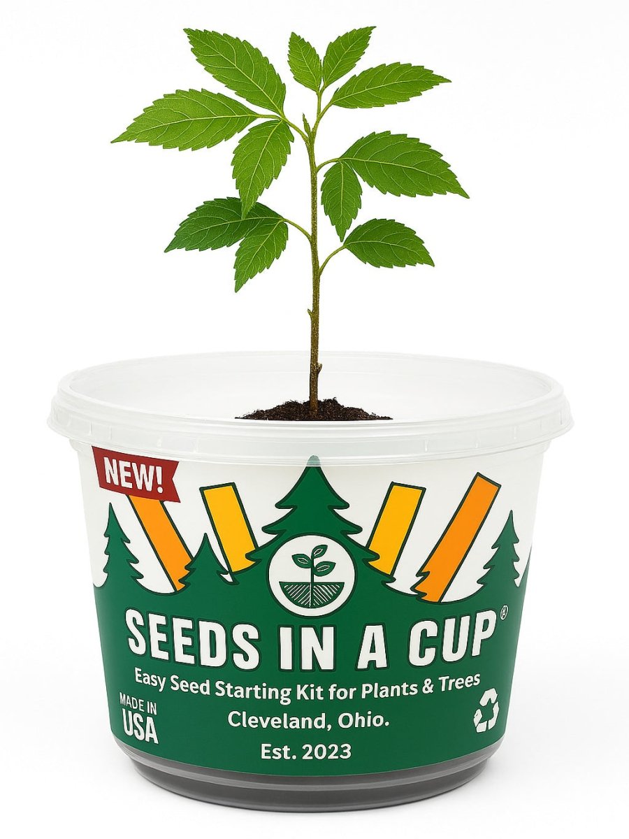 Grape Growing Kit - Complete Vine Seed Starter Kit for Home Gardeners