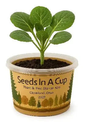 Dogwood Tree Growing Kit - Complete Seed Starter Kit for Your Garden