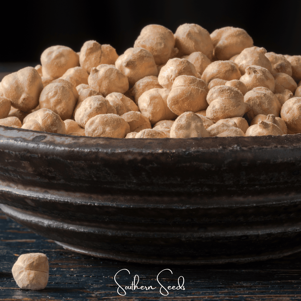 Garbanzo Bean – Chickpea – 20 Seeds