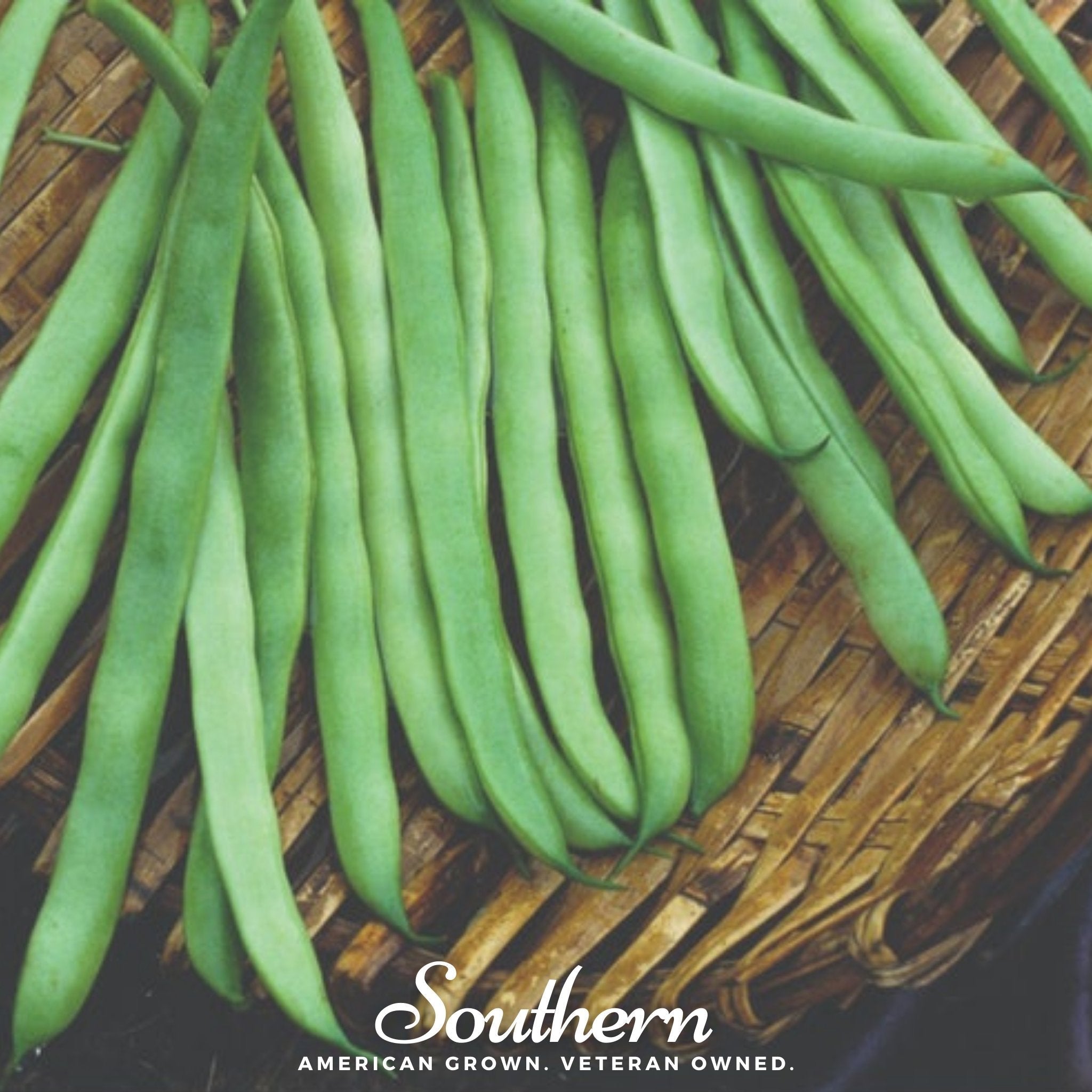 Kentucky Wonder Bean (Pole) – 50 Seeds