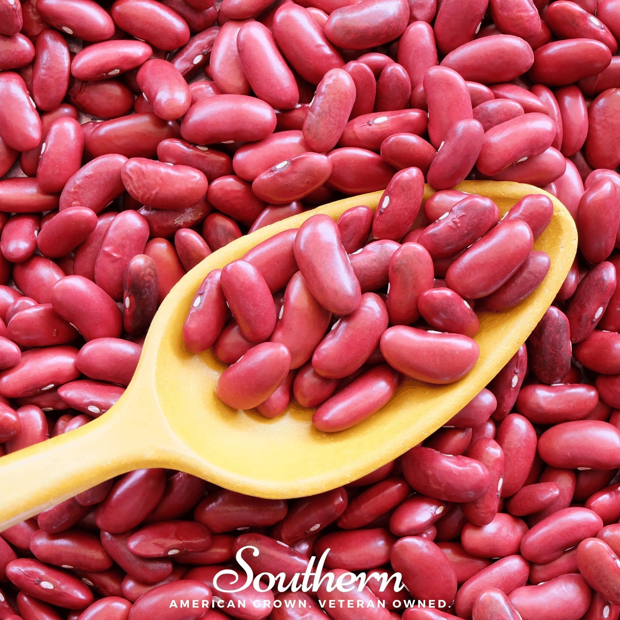 Light Red Kidney Bean (Bush) – 20 Seeds