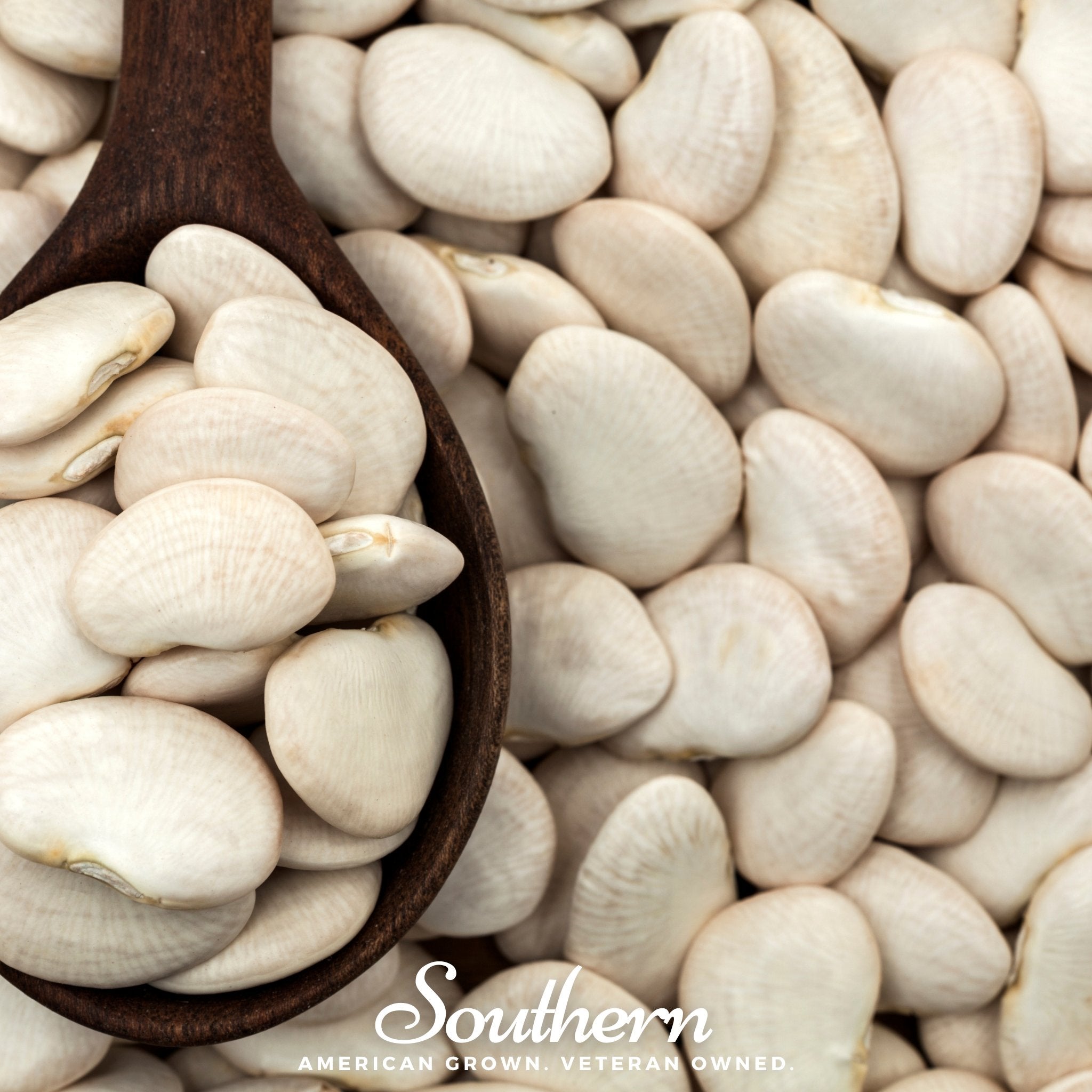 King of the Garden Lima Bean (Pole) – 15 Seeds