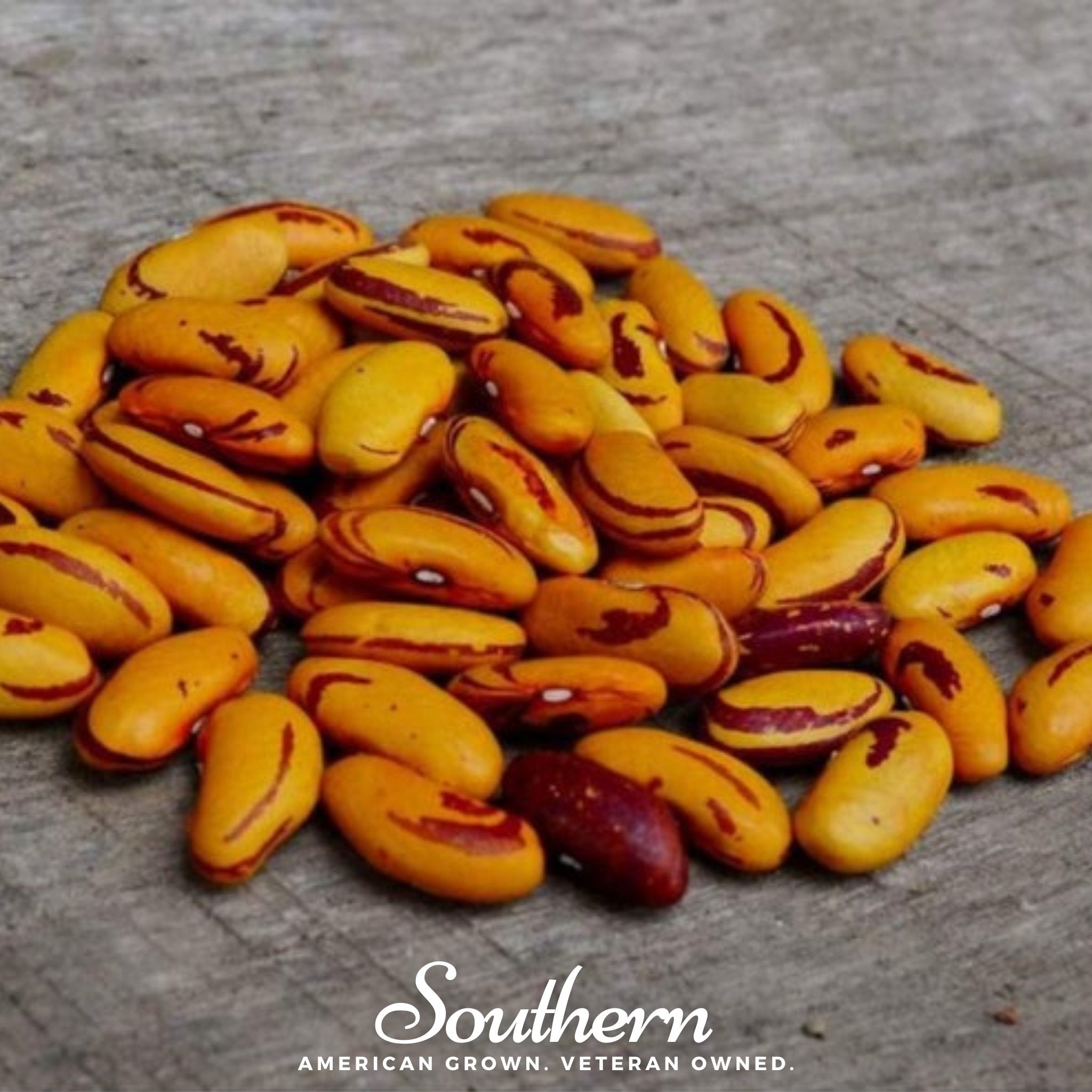 Tiger's Eye Bean (Bush) – 30 Seeds