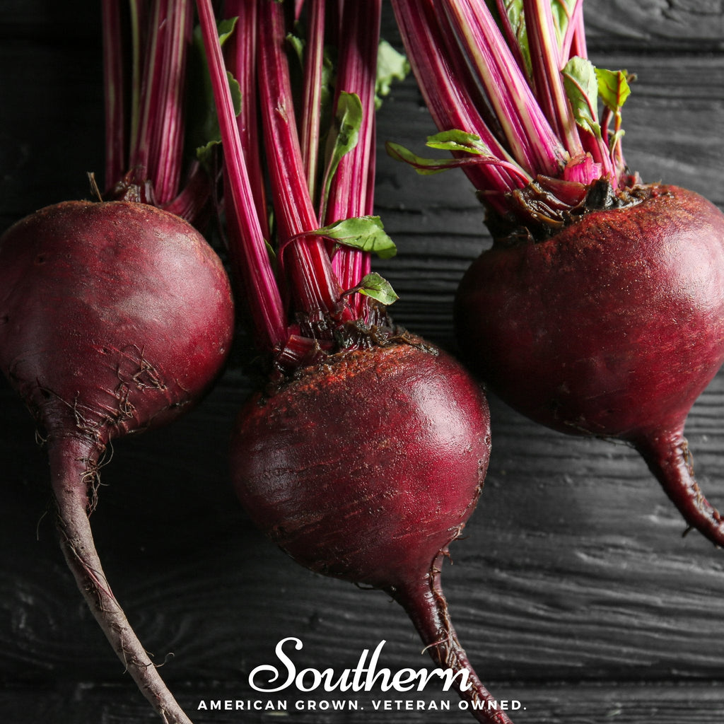 Detroit Dark Red Beet – 200 Seeds